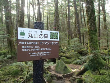 丸山　登山　ツアー