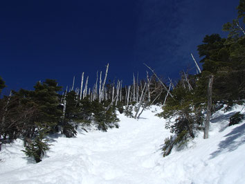 蓼科山　雪山　講習会