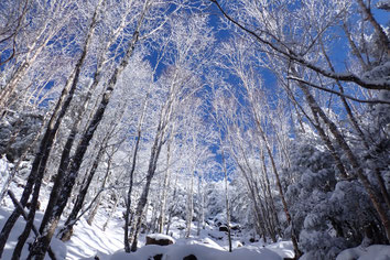 蓼科山　雪山　講習会