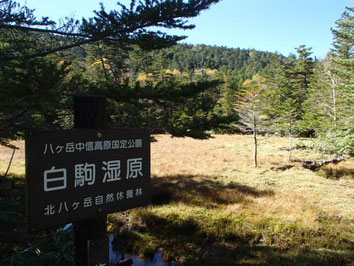 にゅう　登山　ツアー