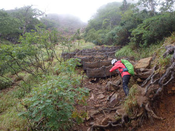 南八ヶ岳　登山　ガイド