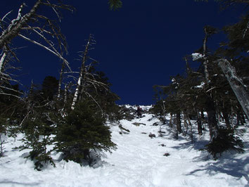 蓼科山　雪山　登山　講習会　ツアー