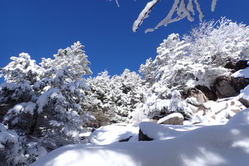 蓼科山　雪山　講習会