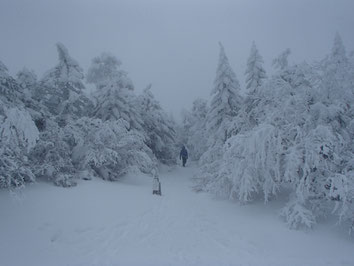 雪山　登山　リスクマネジメント