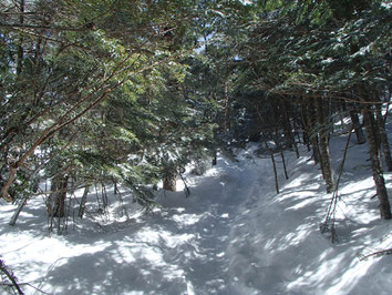 八ヶ岳　黒百合平　雪上講習登山　ガイド