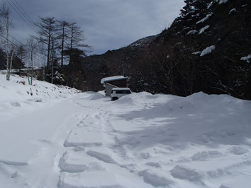 八ヶ岳　雪上講習　ガイド　ツアー