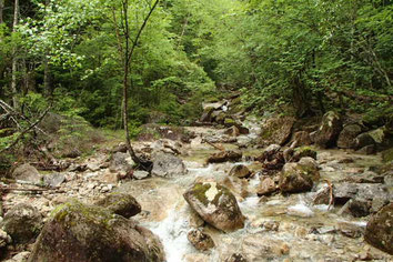 瑞牆山　親子登山