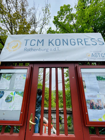 Das rote Tor zur TCM-Welt