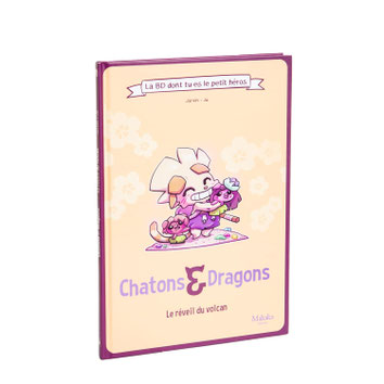 BD dont tu es le héros pour le cycle 2