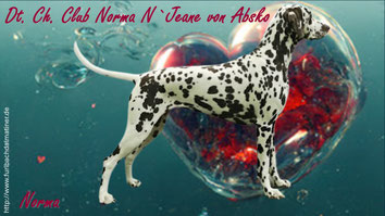 Dt.Ch. Club Norma N`Jeane von Abasko