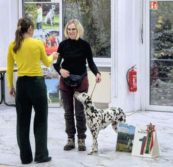 Norma N`Jeane von Abasko V1 VDH/CDF CAC in Oer-Erkenschwick...07.12.2025