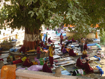 ブッダガヤーで修行に励むチベット僧たち