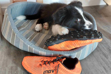 Nino, un an de Border
