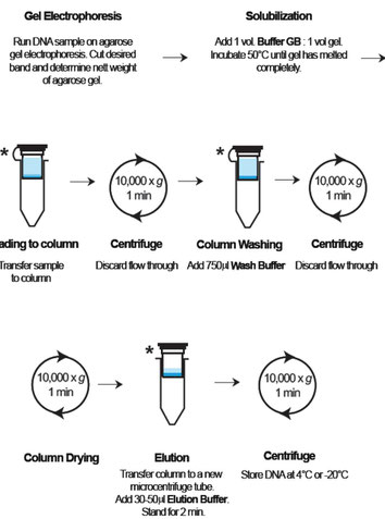 Extraction of DNA from Agarose gels, Aufreinigung DNA aus Agarose