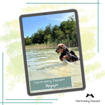 tiertraining diamant magazin, hundemagazin, tiermagazin, tiertrainingdiamant magazin, tricktraining hund, hamster, fellpflege hund, hundefotografie, wellness hund, 9. Ausgabe Tiertraining Diamant - Magazin, hamster beschäftigung