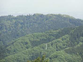 景信山頂からの高尾山