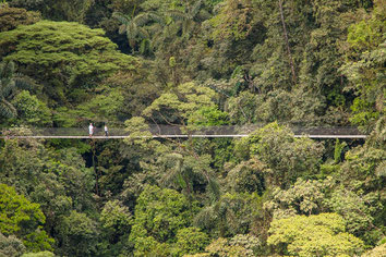 Arenal Rafting Tour & Caminata Mistico Park