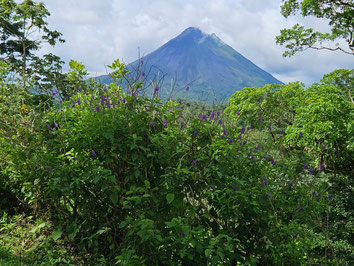 Arenal Combination tour