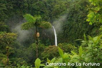 Combinado Tour de un día: Catarata La Fortuna,  Kayak en el Lago Arenal y Caminata Volcán Arenal.