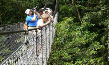 Arenal Combo: Hanging Bridges & La Fortuna Waterfall.