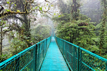 Excursión de un dia a Monteverde desde Arenal