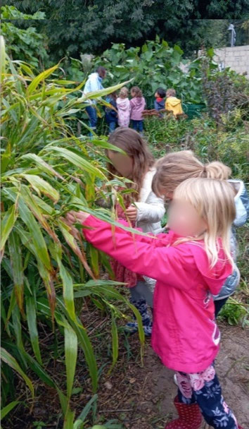 Visite du jardin pédagogique