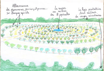 adopte un arbre fruitier biodiversite jardin pedagogique