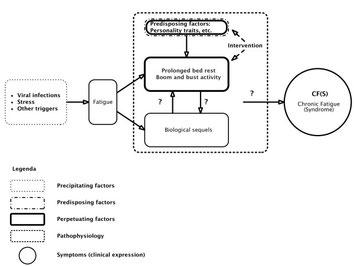 Abb1: Das biopsychosoziale Modell des Chronischen Erschöpfungssyndroms von Harvey und Wessely verweist auf körperliche Ursachen und pathophysiologische Veränderungen. Quelle: Maes und Twisk, 2010.