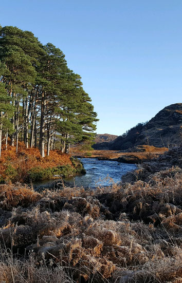 NC500 - GLENCANISP LOOP