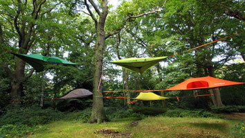 tree tents camp