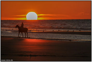 Sonnenuntergang#Reiterin#Meer#Atlantik#Reiter#Roland Valter#rolva#Natur-Fotografie#Aachen 