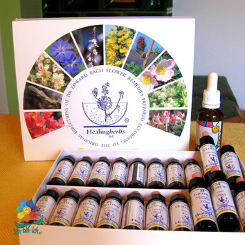 Bachblüten-Box und Fläschchen
