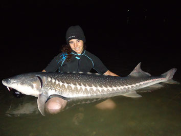 pêche de l'esturgeon transmontanus