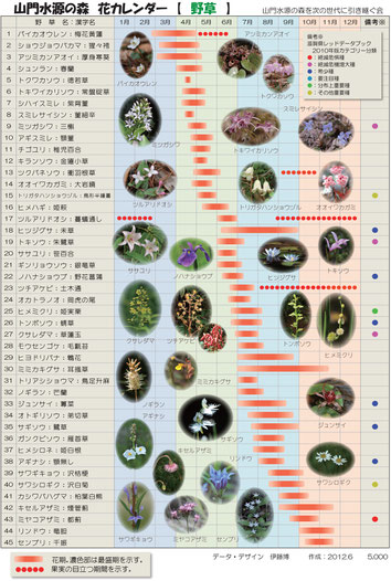 花カレンダー（野草）