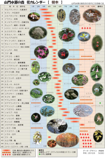 花カレンダー（樹木）