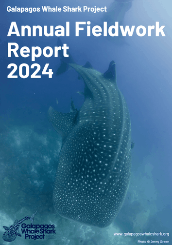 A Whale Shark on the Annual Fieldwork Report 2024 Galapagos Whale Shark Project