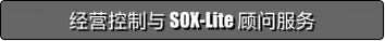 经营控制与 SOX-Lite 顾问服务