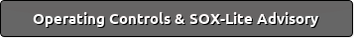 Operating Controls & SOX-Lite Advisory