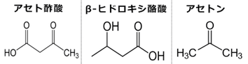 ケトン体