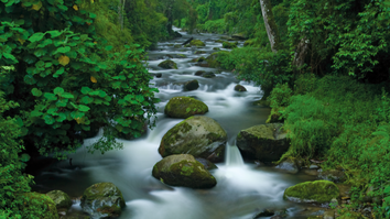 Costa Rica two airport packages 8 nights