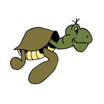 Schildkröte (Unterrichtsreihe) 2013
