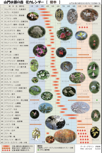 花カレンダー（樹木）