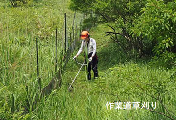 作業道の草刈り