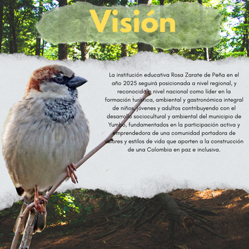 Vision de la Institución Educativa