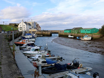 St Andrews: Der alte Fischerhafen liegt am Fuß des Castle.
