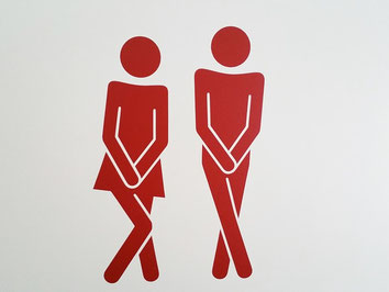 toilettes wc