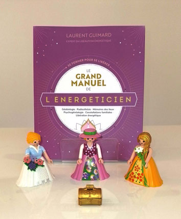 Livre énergétique - Le Grand Manuel de l'Énergéticien