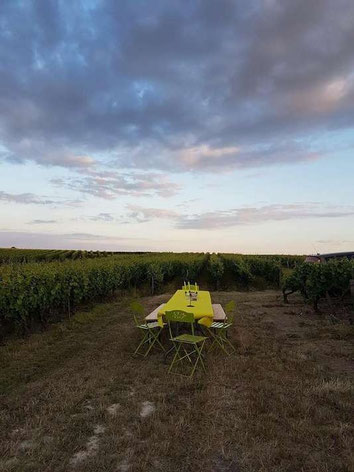 wine-tour-wine-tasting-Loire-visit-vineyard-cellar-Valley-unique-experience-Tours-Vouvray-Amboise-Touraine-Myriam-Fouasse-Robert