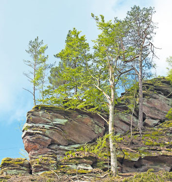 Die "Teufelsleiter" bei Frankenstein