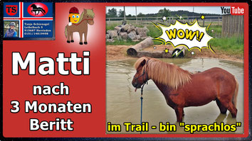 Link führt direkt zu Video bei YouTube
